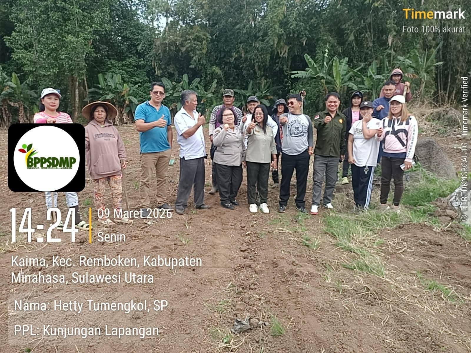 BERSAMA KTNA MINAHASA, DPD.PERMESTA,  BPP REMBOKEN TANAM JAGUNG MANIS DI DESA PAREIPEI KECAMATAN REMBOKEN.